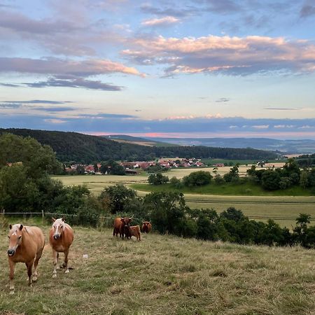 Haus Landlust Apartman Edersee Kültér fotó