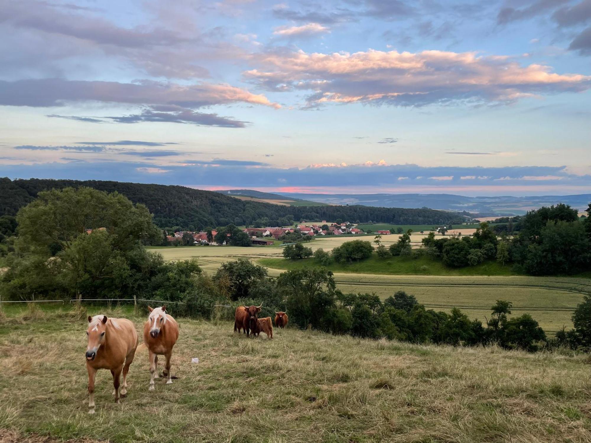 Haus Landlust Apartman Edersee Kültér fotó